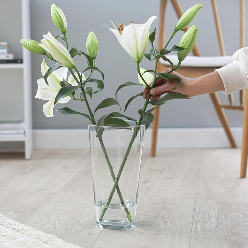 Wazon szklany prosty osłonka 29 cm bezbarwny Florina 3W 9012