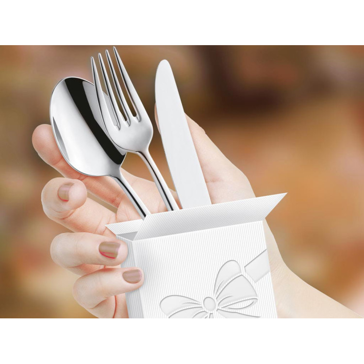 Sztućce restauracyjne Amefa Astoria 1249 24 sztuki sztućców weselnych Sztućce restauracyjne Amefa Astoria 1249 24 sztuki sztućców weselnych